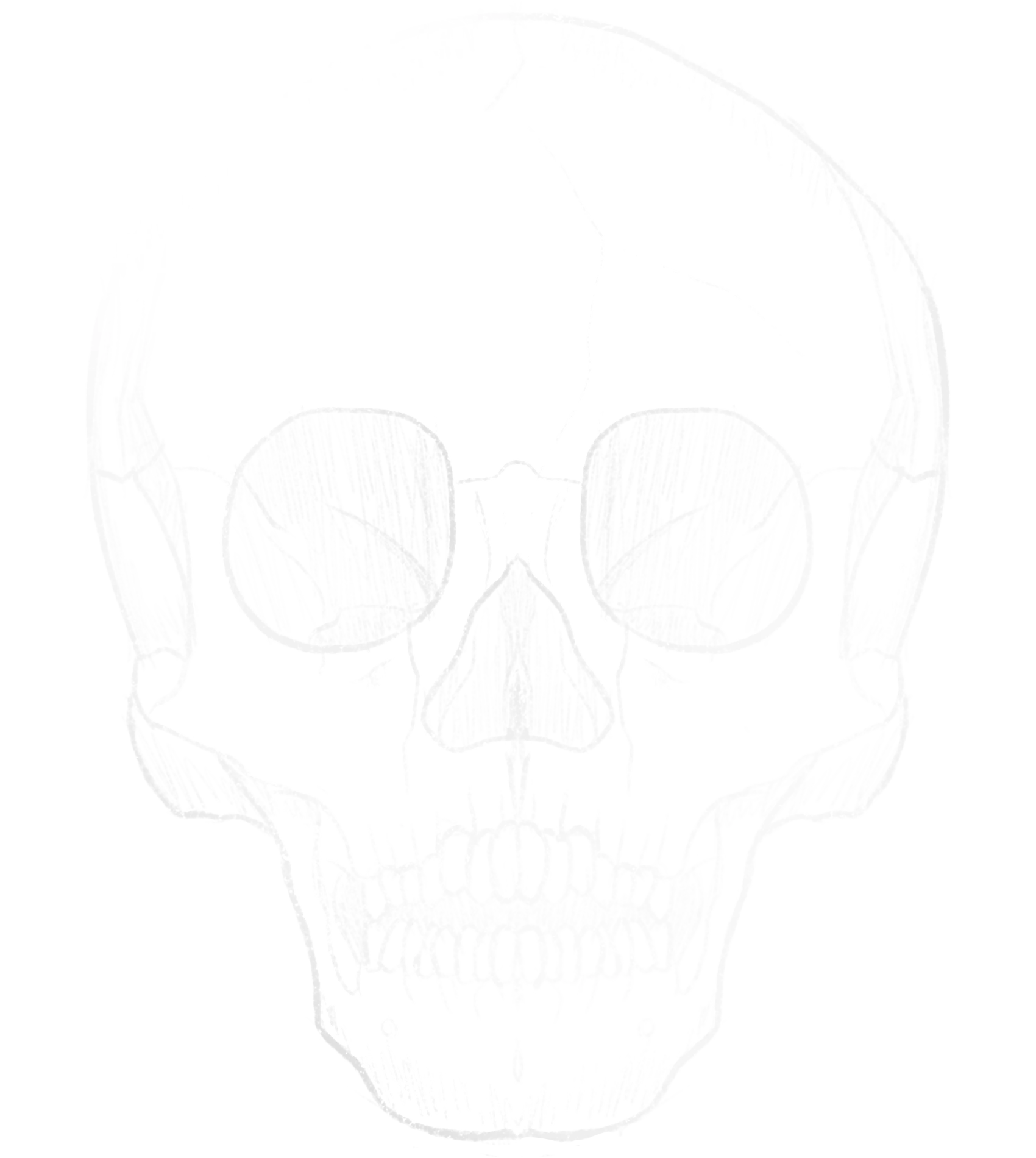 White skull as background image